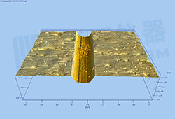 1600224552680965.jpg litixingmao-14.jpg